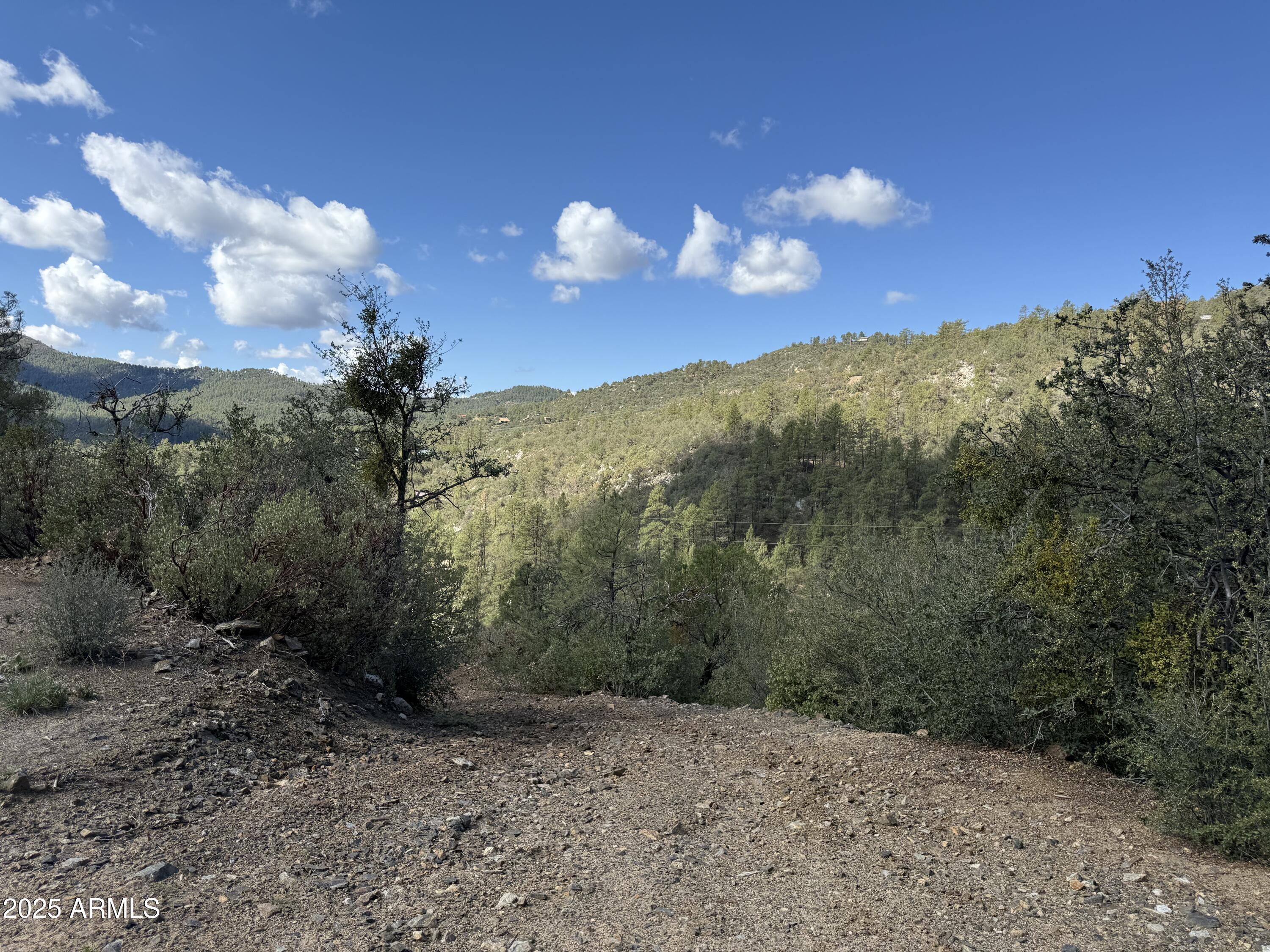 22865 South Gladiator Mine Road Crown King, AZ 86343 - Photo 16 of 20 a view of a yard in middle of forest