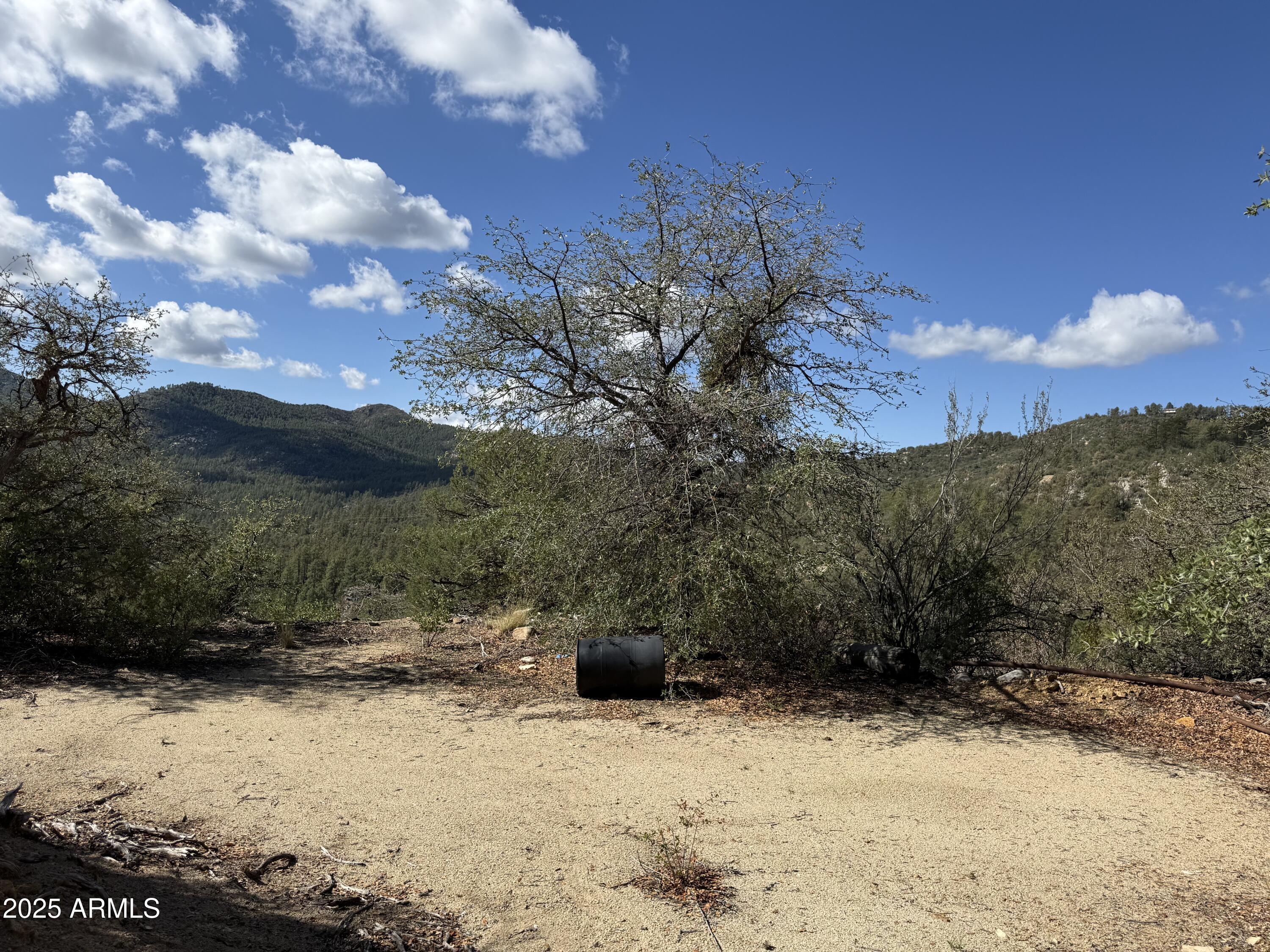22865 South Gladiator Mine Road Crown King, AZ 86343 - Photo 19 of 20 a view of a yard with a yard