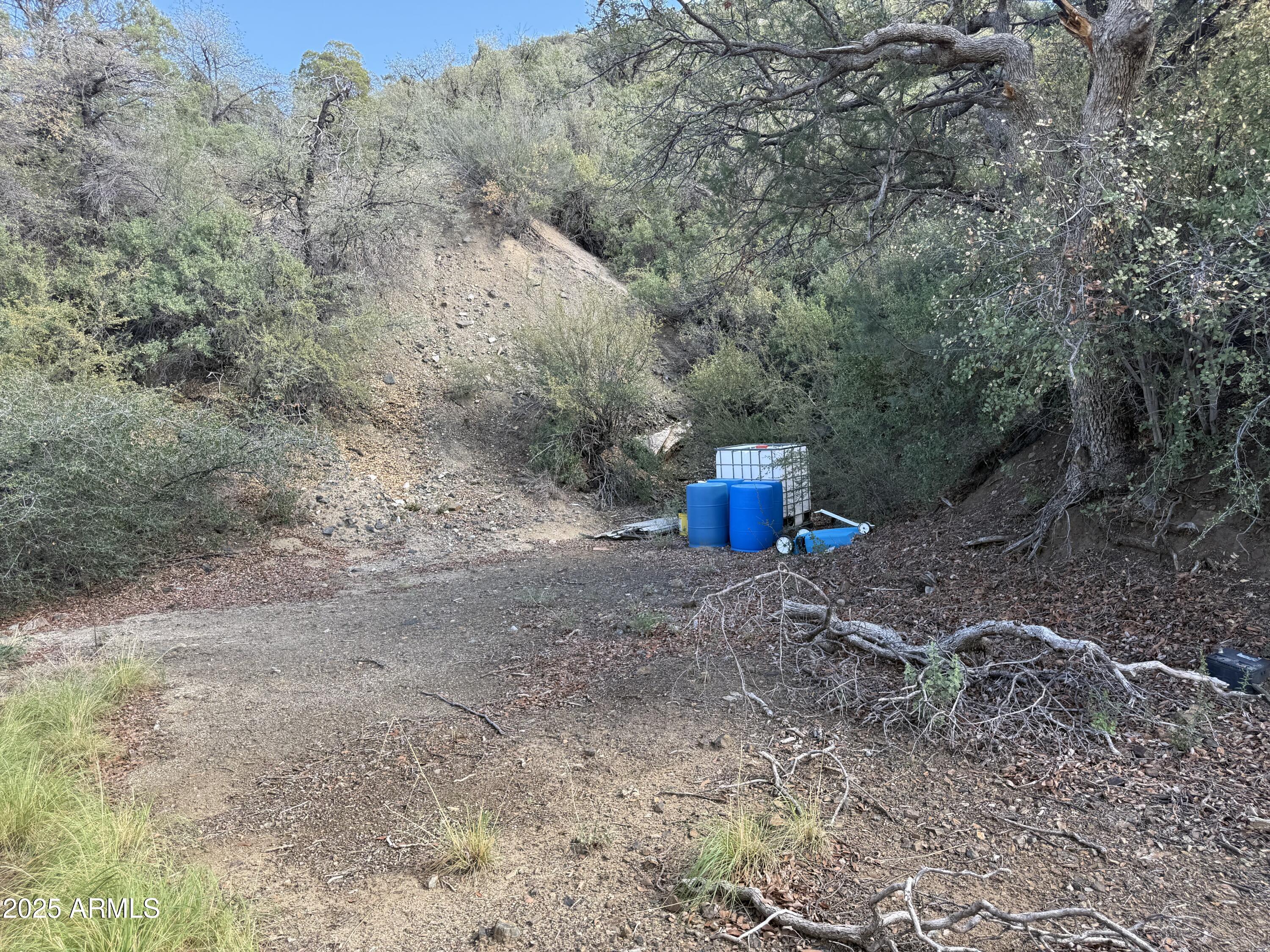 22865 South Gladiator Mine Road Crown King, AZ 86343 - Photo 20 of 20 a view of a dry yard with trees and sky view