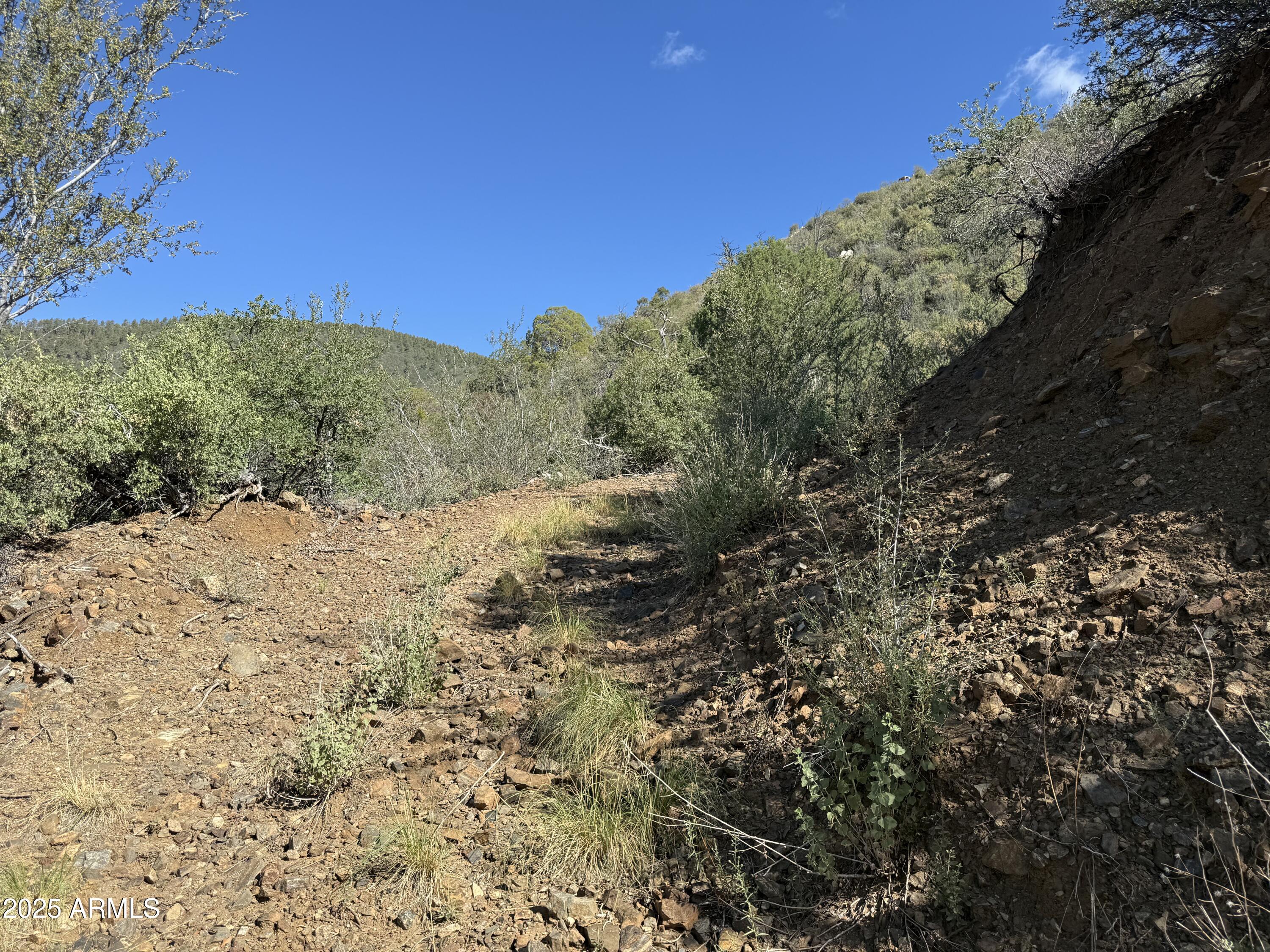 22865 South Gladiator Mine Road Crown King, AZ 86343 - Photo 8 of 20 a view of a dry yard with mountains in the background