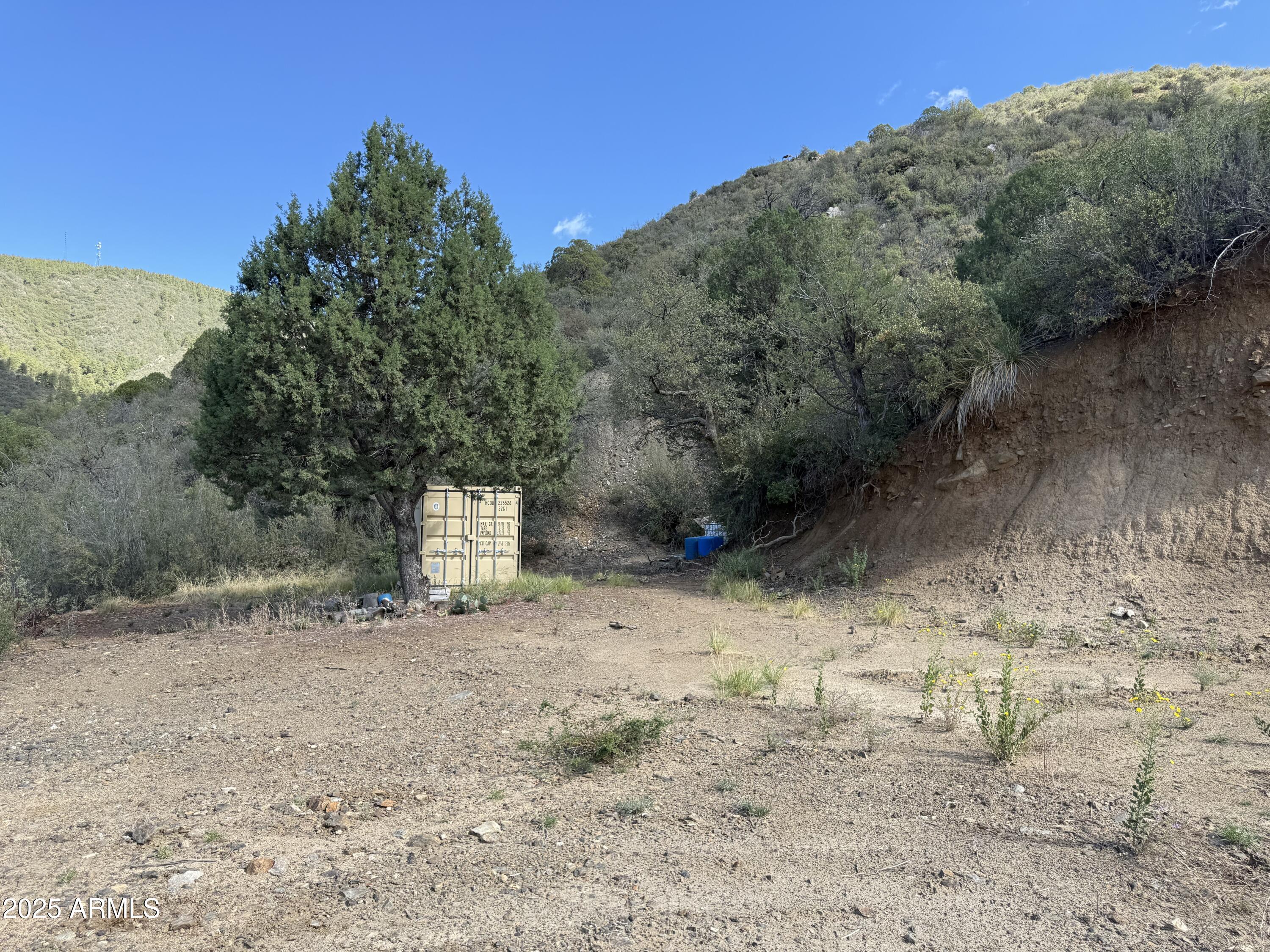 22865 South Gladiator Mine Road Crown King, AZ 86343 - Photo 10 of 20 a view of a dry yard with trees