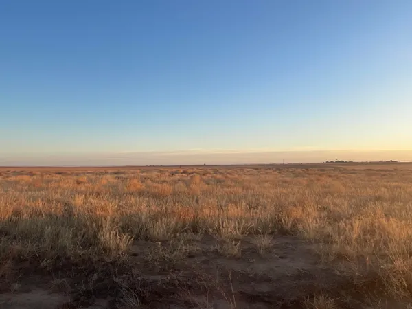 $576,000 | 132 Cr Loop, Loop, TX 79342