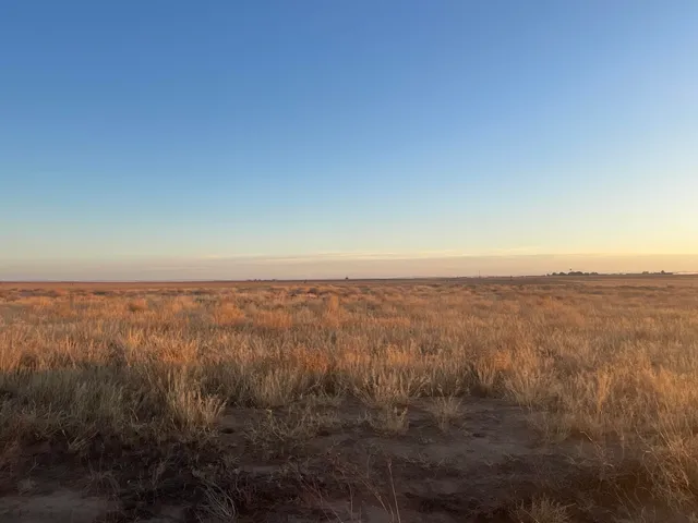 $576,000 | 132 Cr Loop, Loop, TX 79342