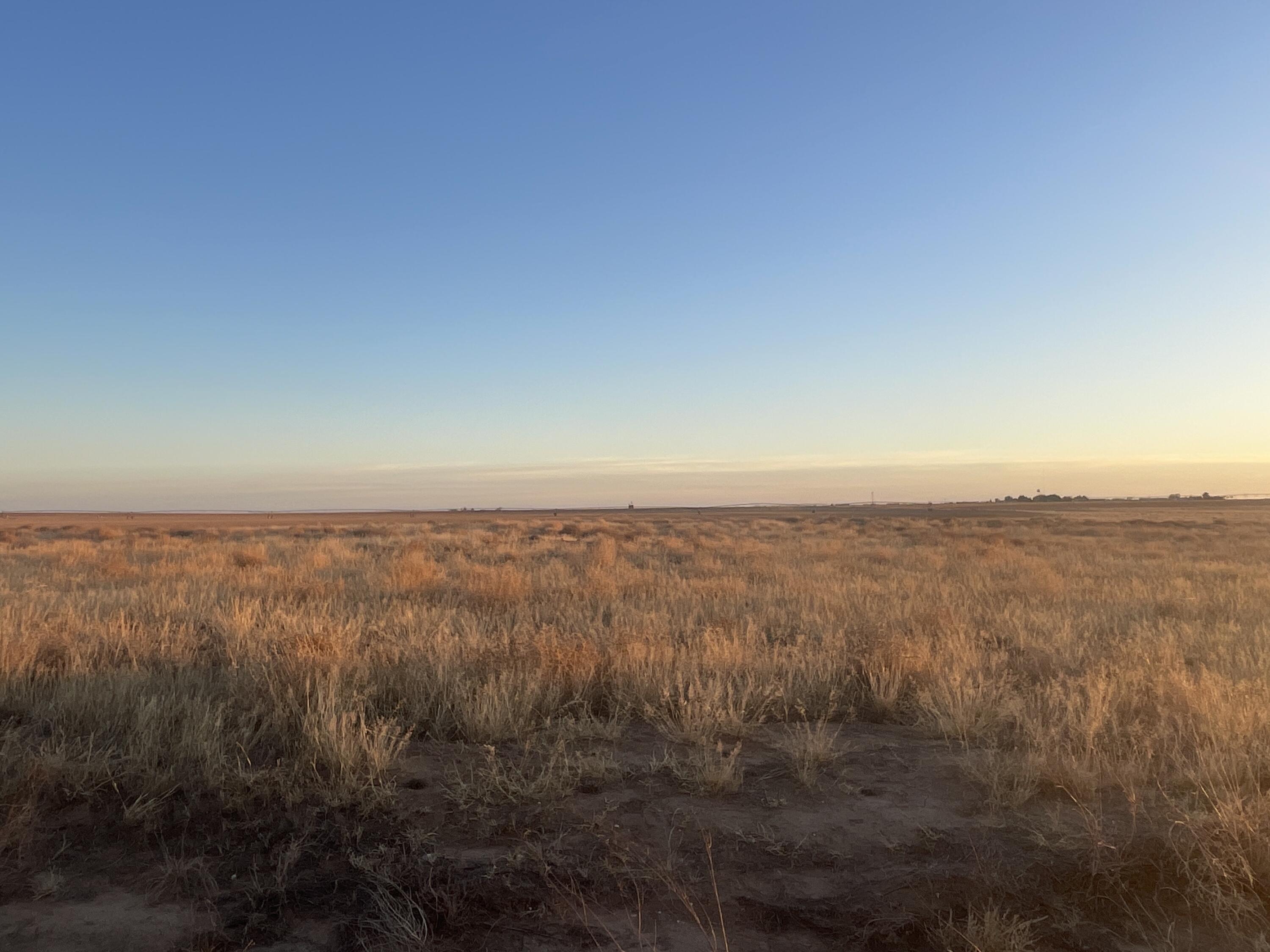 132 Cr Loop Loop, TX 79342 - Photo 2 of 2 IMG_9592