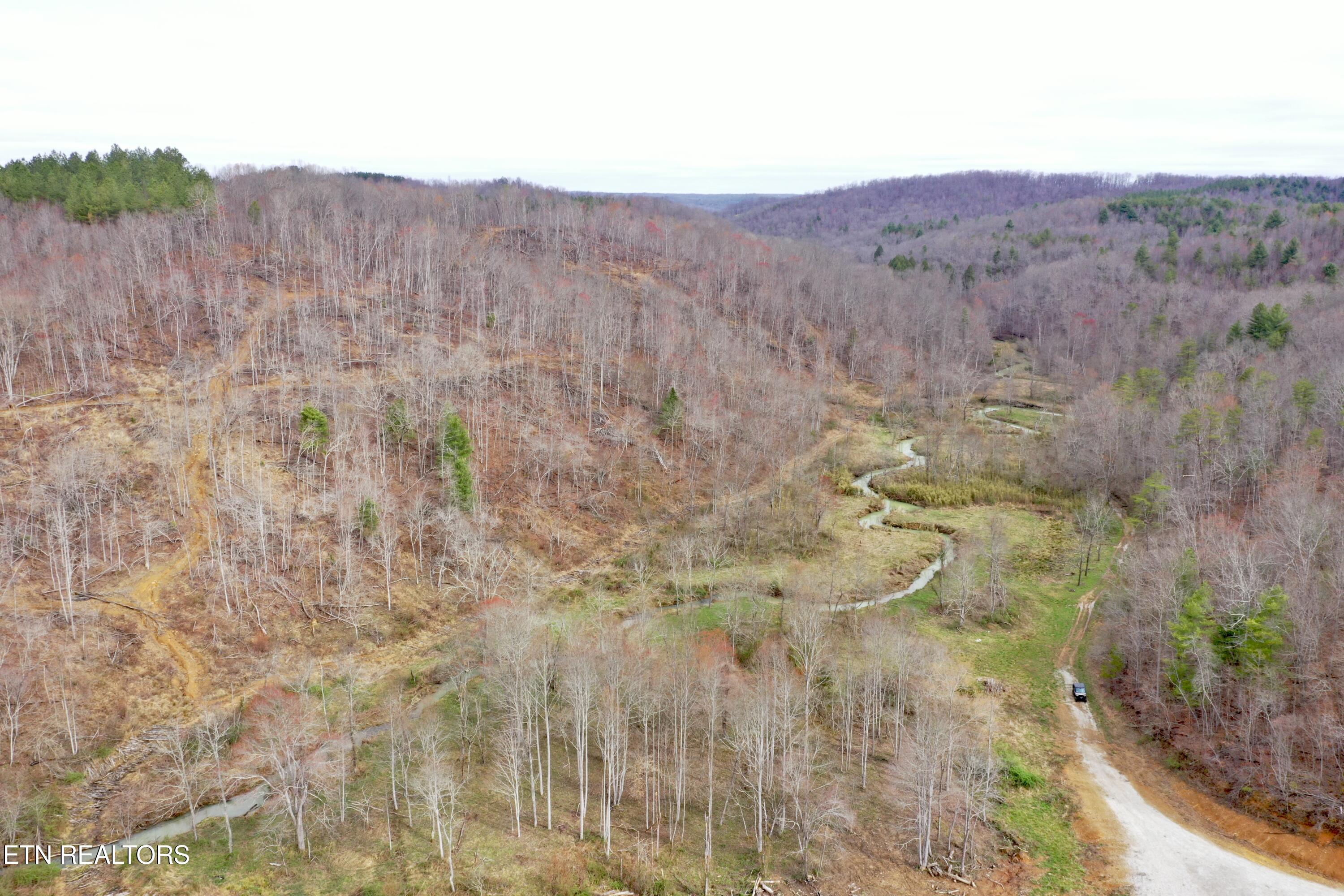 Skull Creek Road Robbins, TN 37852 - Photo 11 of 60 DJI_0444