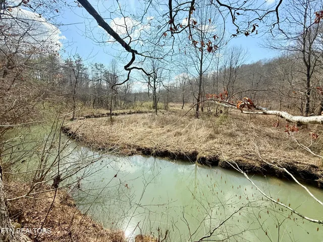 $370,000 | Skull Creek Road, Robbins, TN 37852