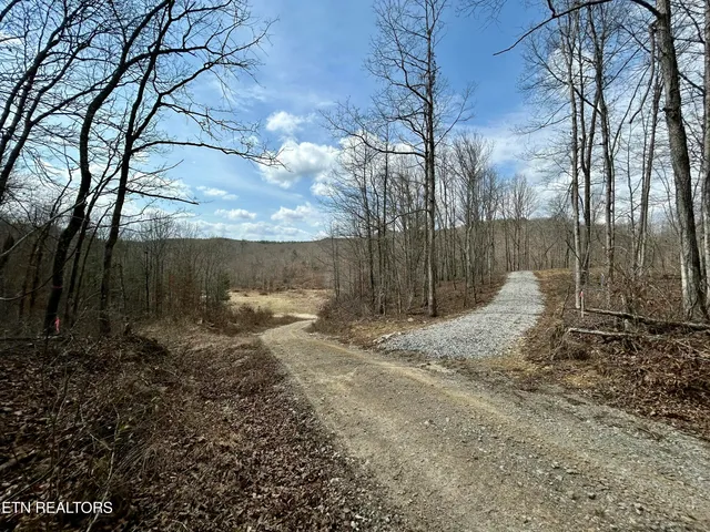 $370,000 | Skull Creek Road, Robbins, TN 37852