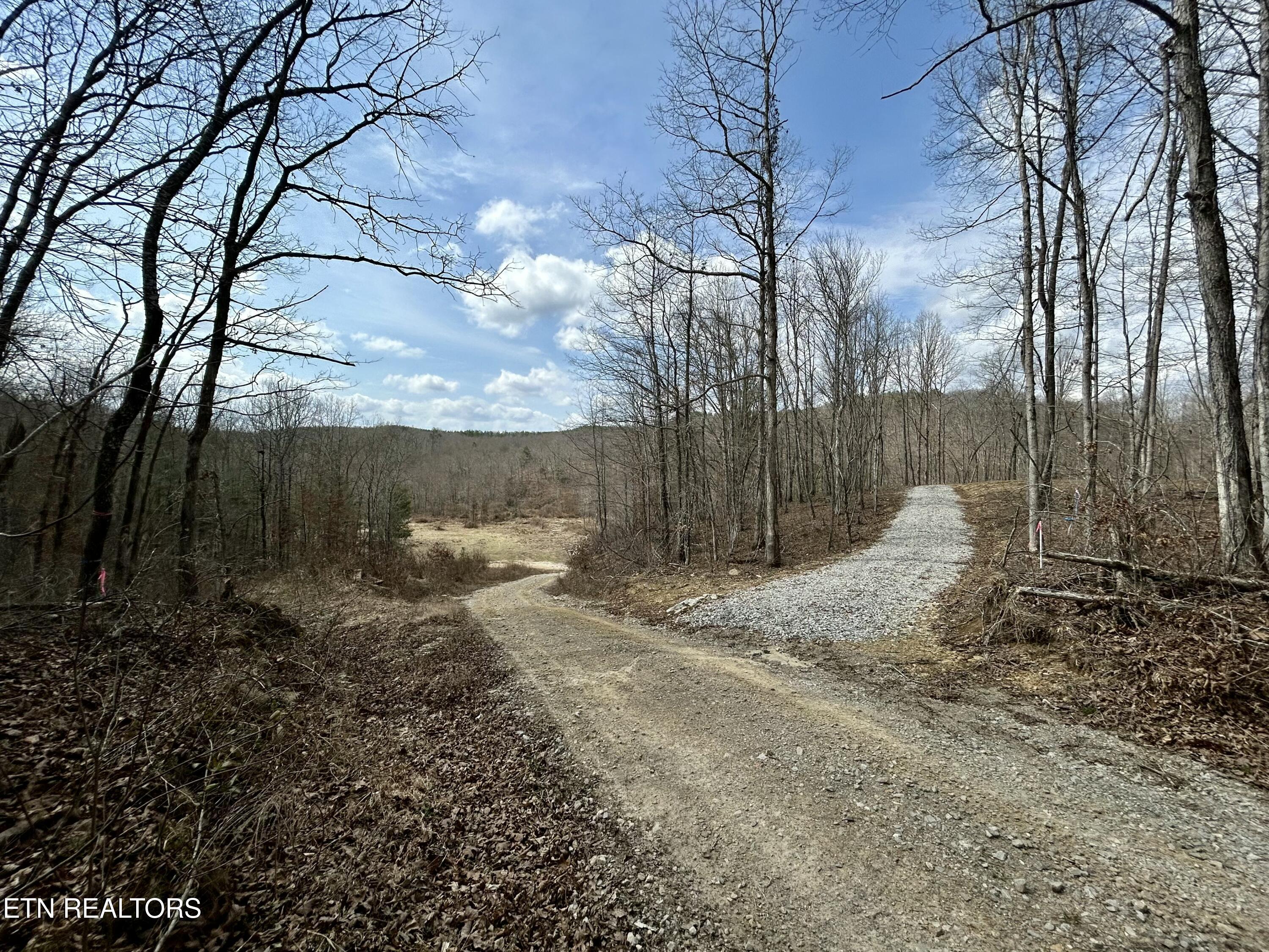 Skull Creek Road Robbins, TN 37852 - Photo 14 of 60 tempImageDySYMq