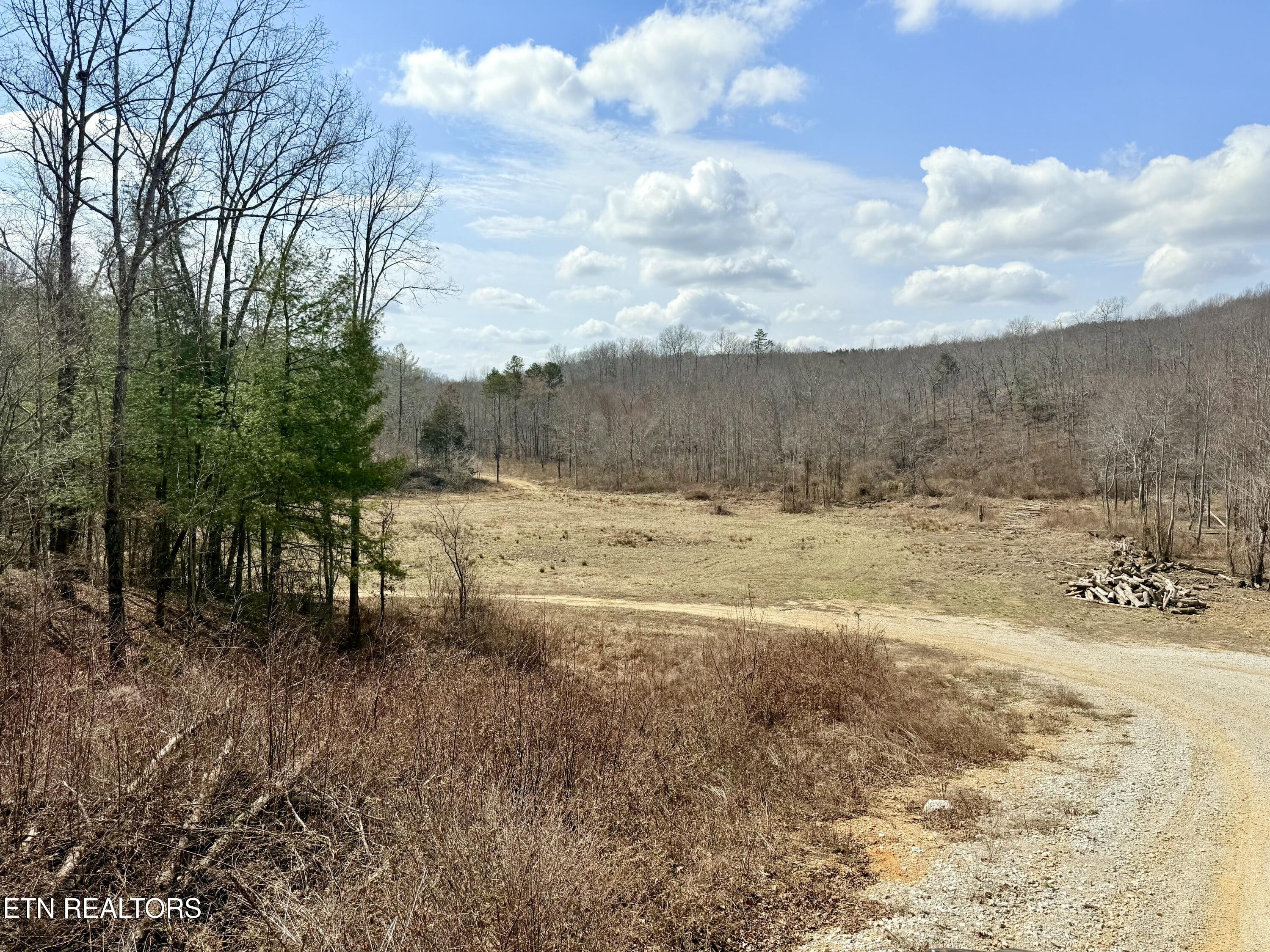 Skull Creek Road Robbins, TN 37852 - Photo 19 of 60 tempImagerFAGjg