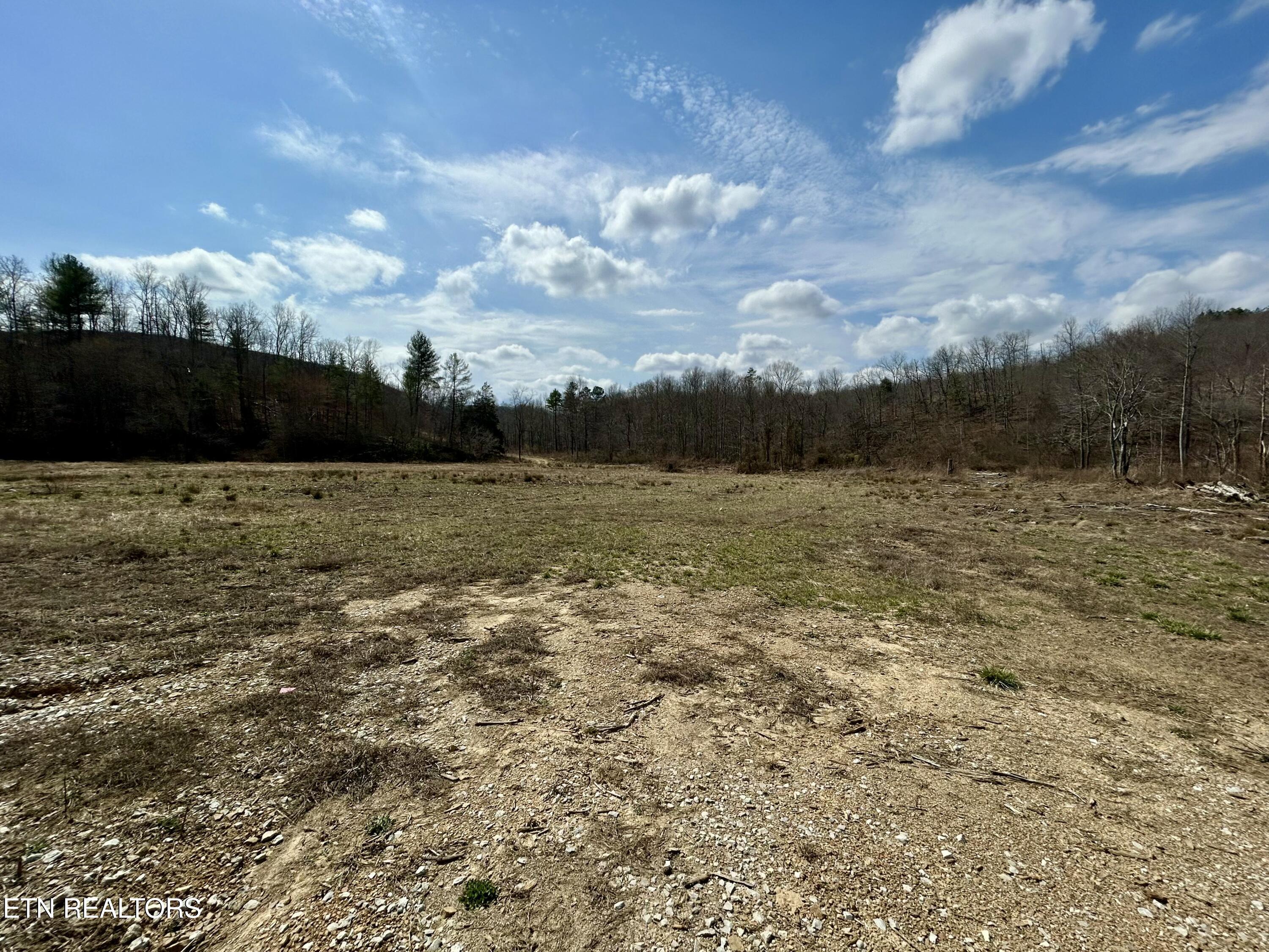 Skull Creek Road Robbins, TN 37852 - Photo 20 of 60 tempImageiw7wXz