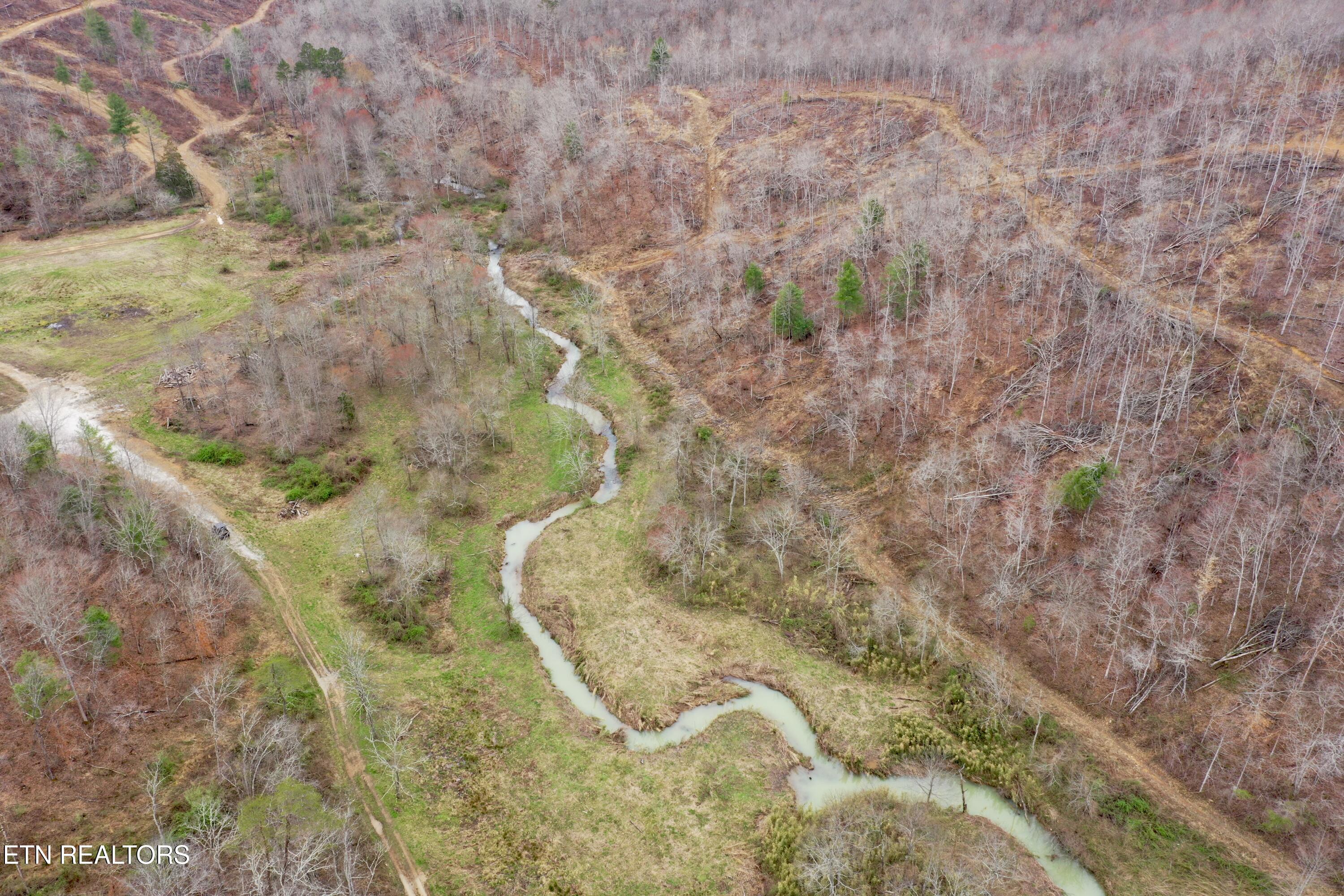 Skull Creek Road Robbins, TN 37852 - Photo 2 of 60 DJI_0425