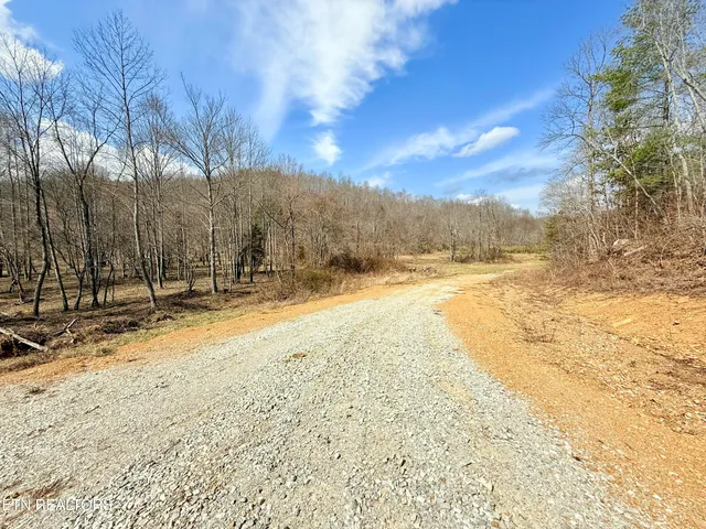 $370,000 | Skull Creek Road, Robbins, TN 37852