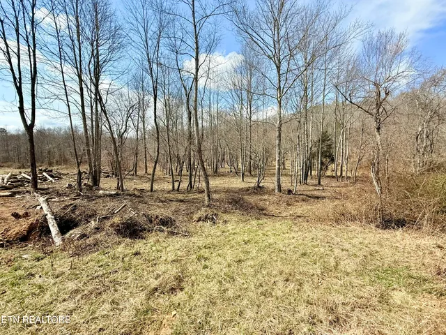 $370,000 | Skull Creek Road, Robbins, TN 37852