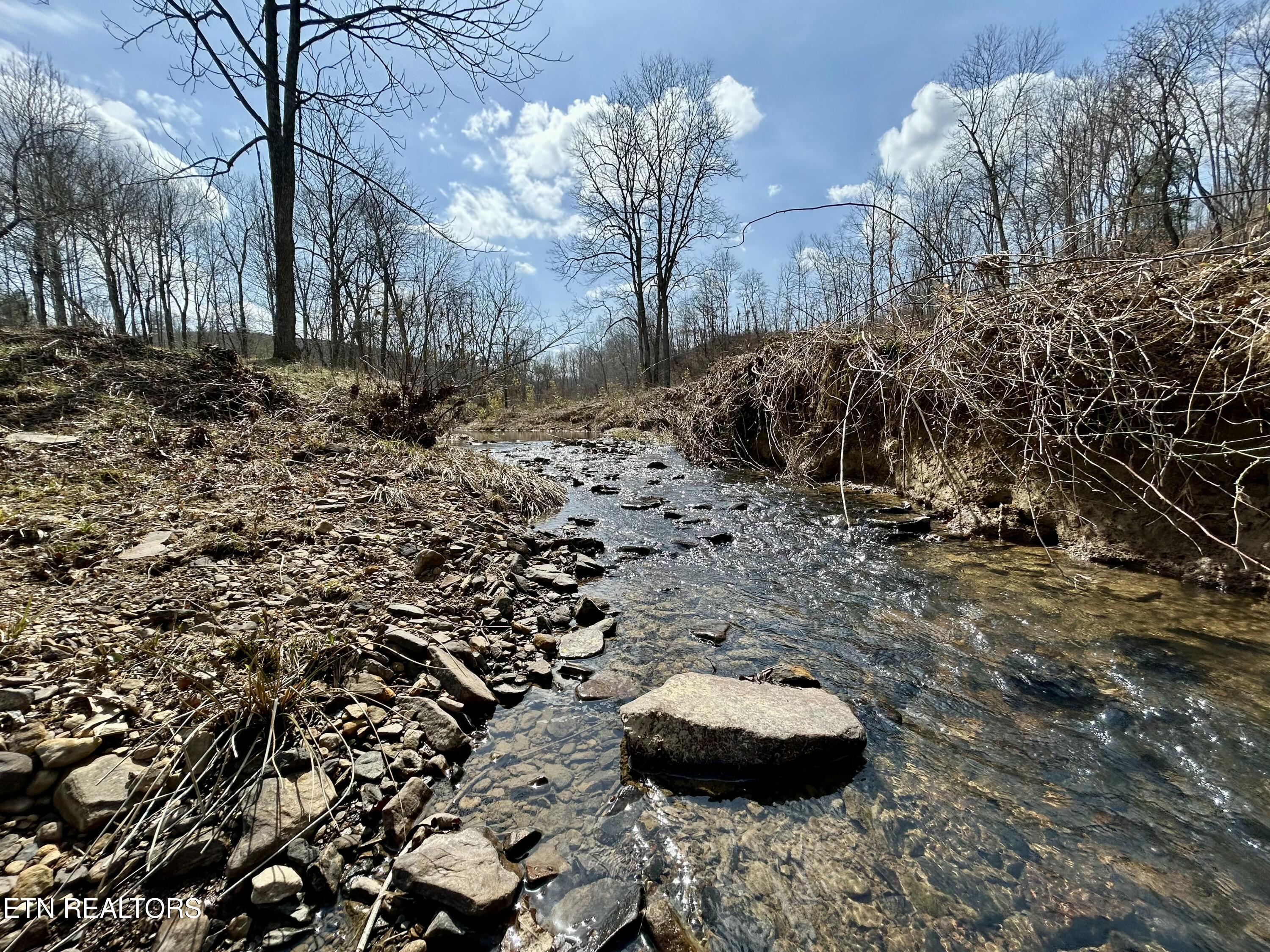 Skull Creek Road Robbins, TN 37852 - Photo 23 of 60 tempImagefkSbcR