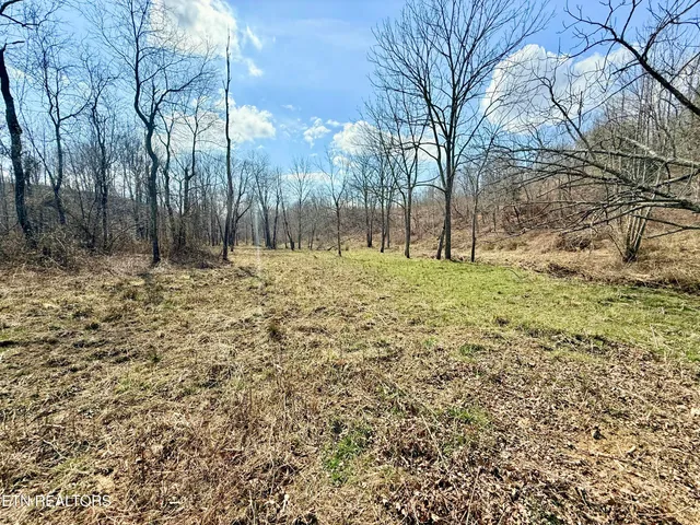 $370,000 | Skull Creek Road, Robbins, TN 37852