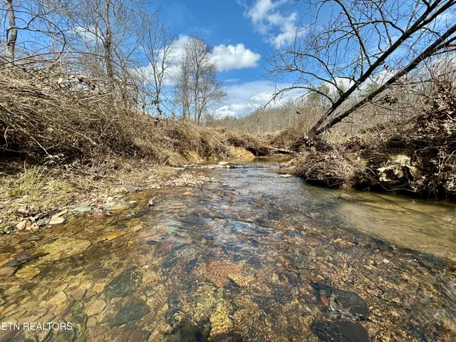 $370,000 | Skull Creek Road, Robbins, TN 37852