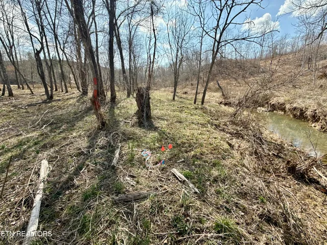 $370,000 | Skull Creek Road, Robbins, TN 37852