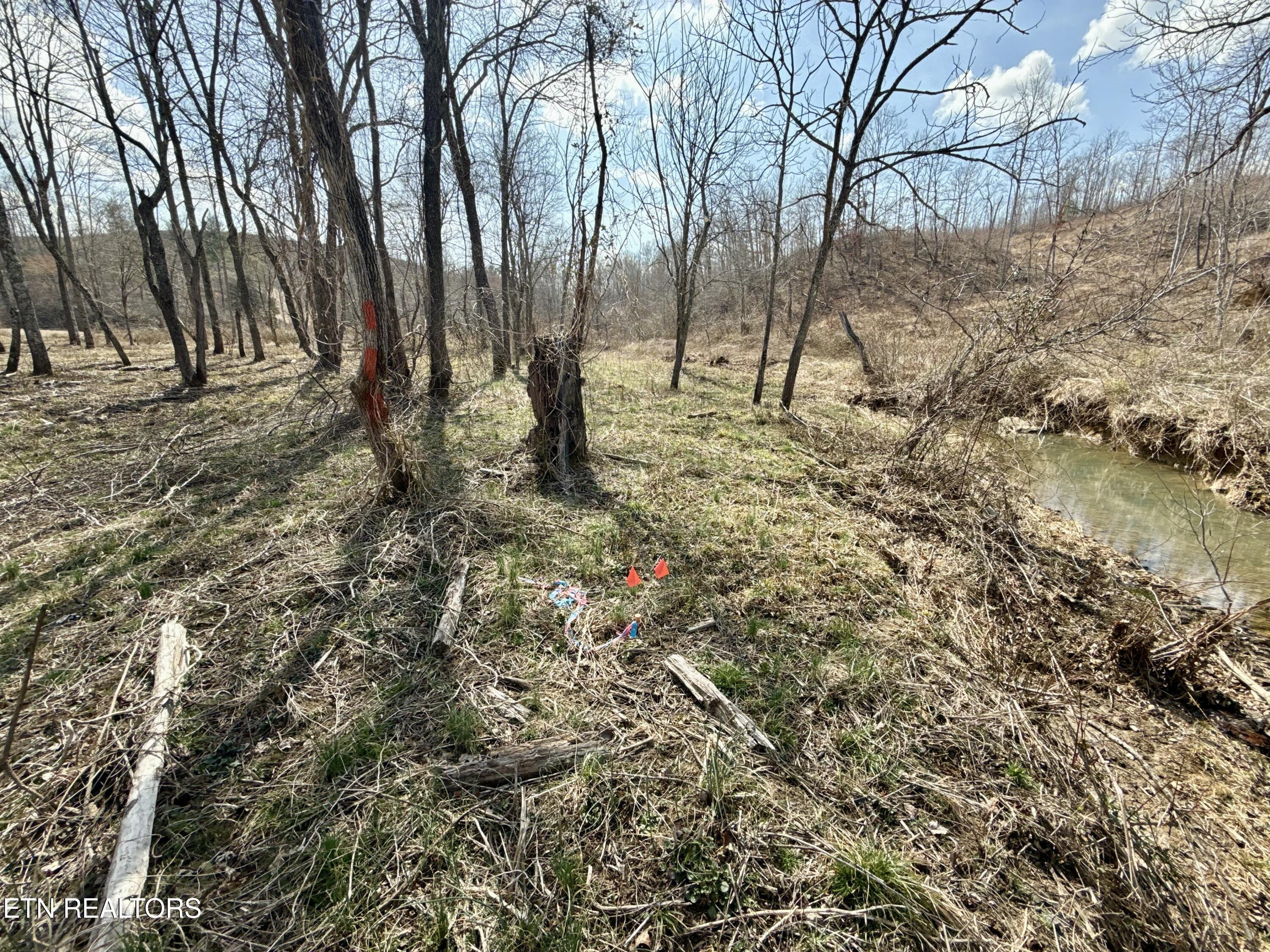 Skull Creek Road Robbins, TN 37852 - Photo 26 of 60 tempImageNHGnSo
