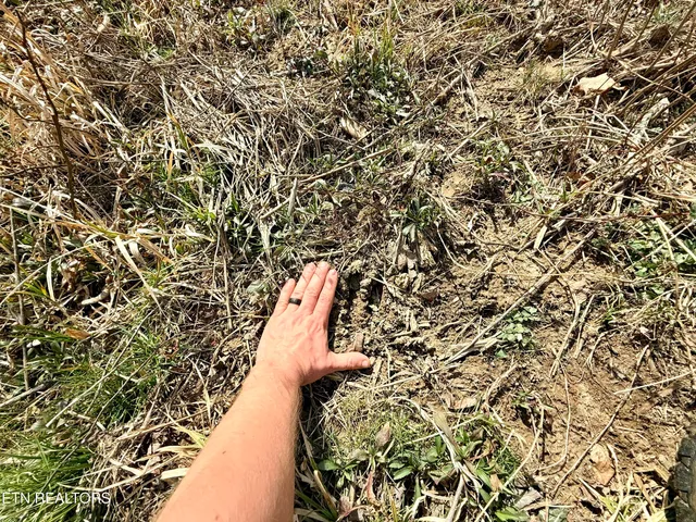 $370,000 | Skull Creek Road, Robbins, TN 37852