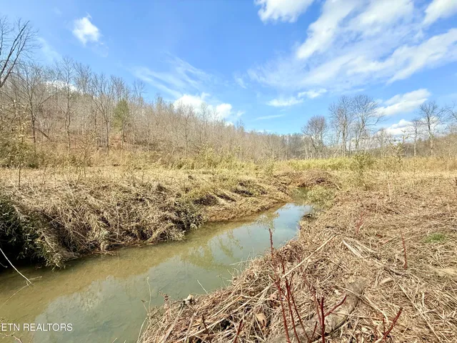 $370,000 | Skull Creek Road, Robbins, TN 37852