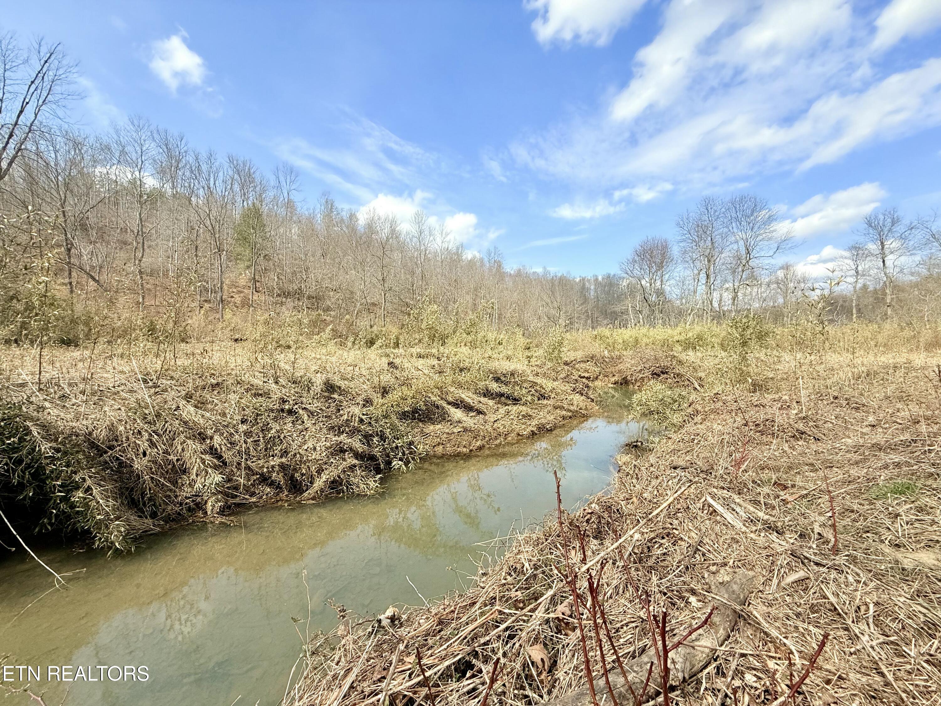 Skull Creek Road Robbins, TN 37852 - Photo 29 of 60 tempImageFx0Xmx