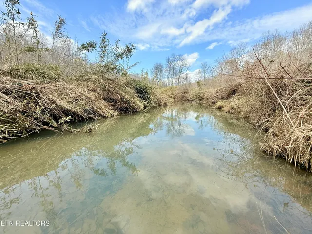 $370,000 | Skull Creek Road, Robbins, TN 37852