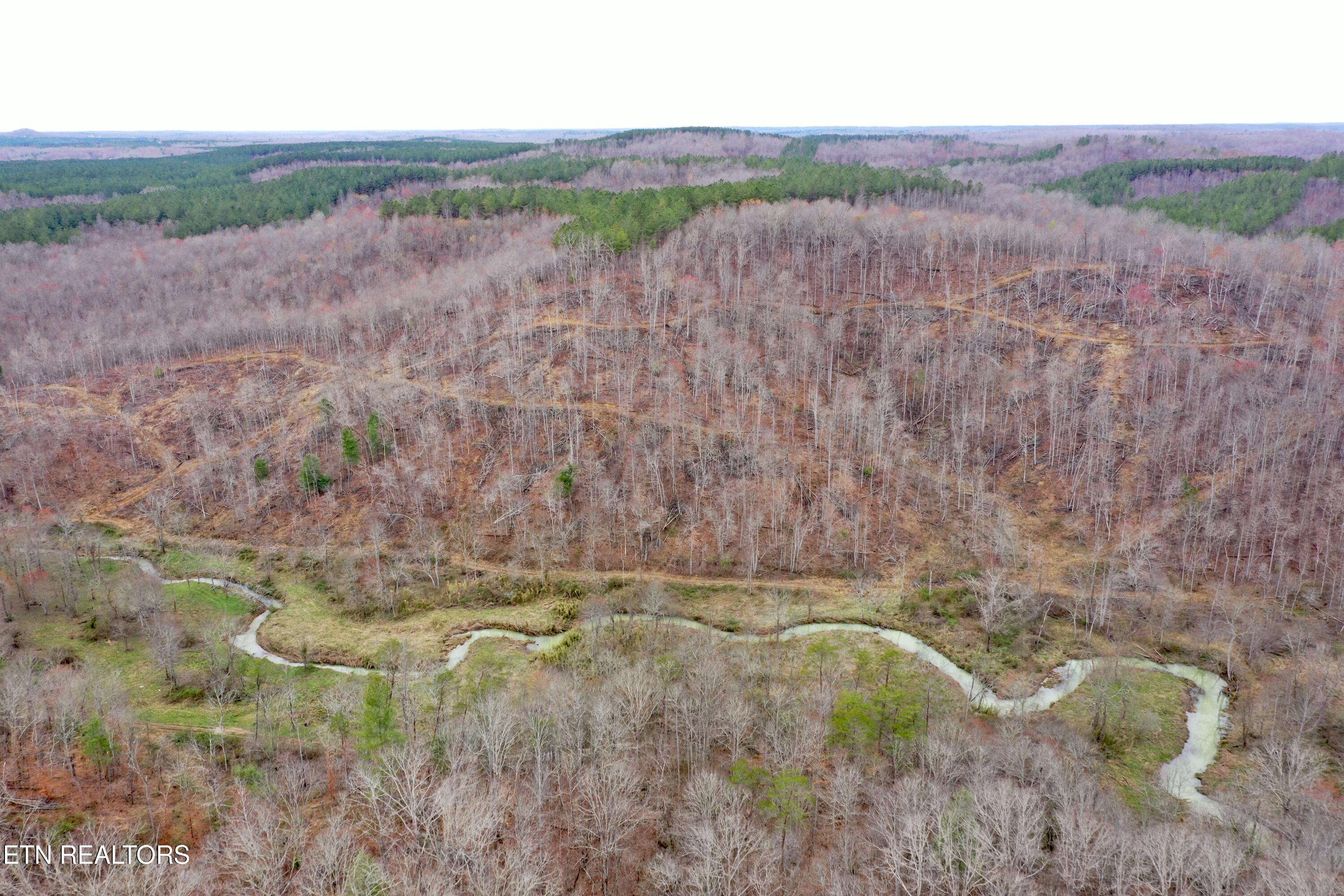 Skull Creek Road Robbins, TN 37852 - Photo 3 of 60 DJI_0427