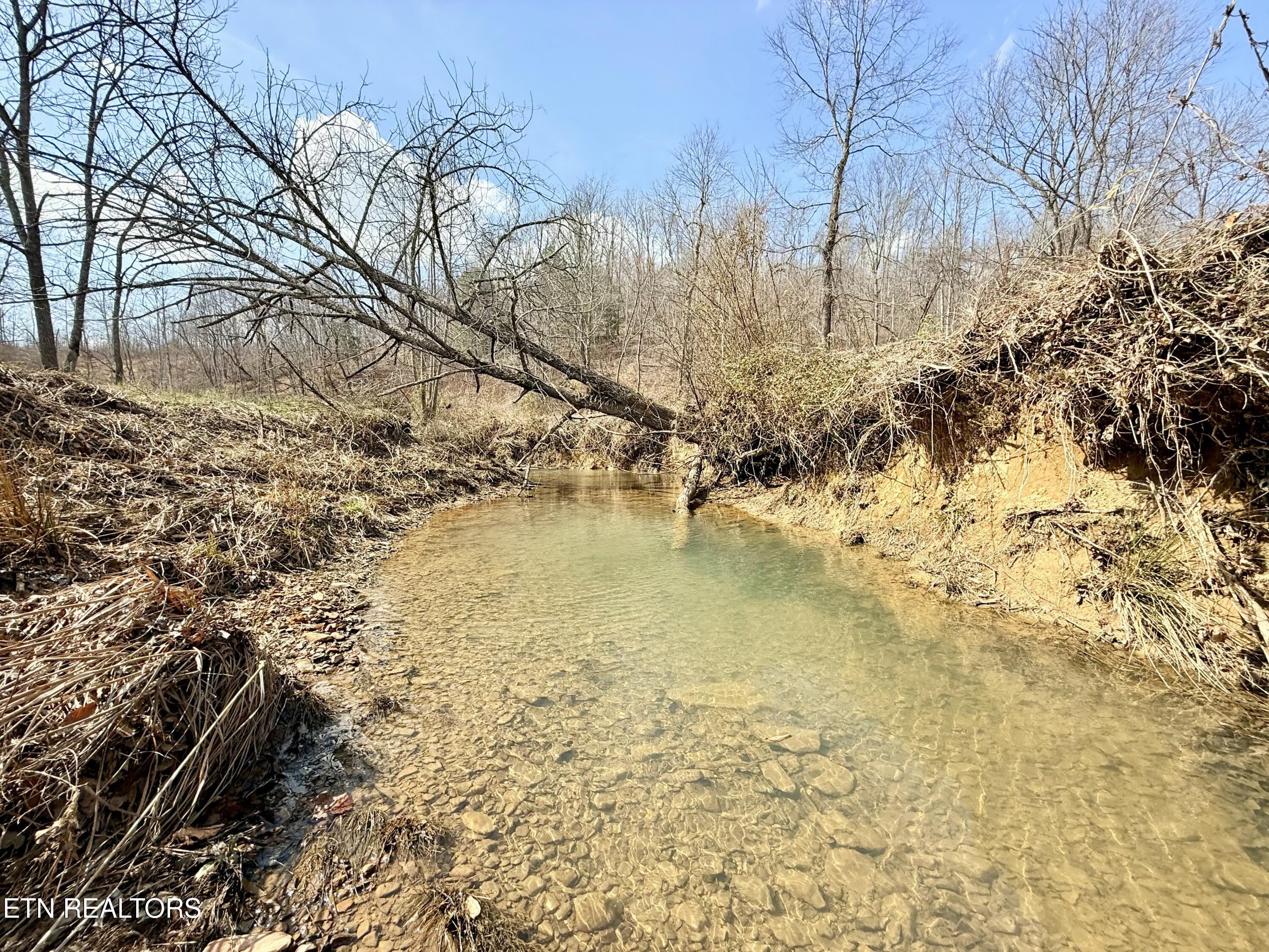 Skull Creek Road Robbins, TN 37852 - Photo 31 of 60 tempImage0eFCnM