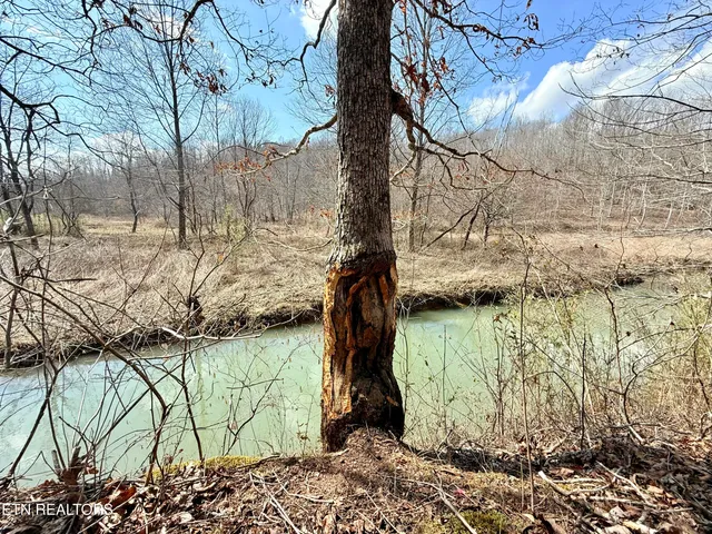 $370,000 | Skull Creek Road, Robbins, TN 37852