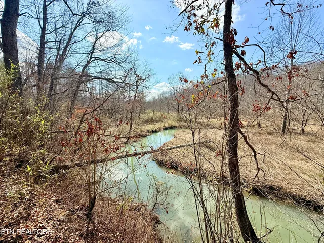 $370,000 | Skull Creek Road, Robbins, TN 37852