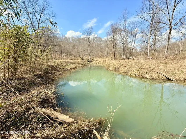 $370,000 | Skull Creek Road, Robbins, TN 37852