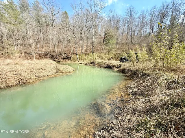 $370,000 | Skull Creek Road, Robbins, TN 37852