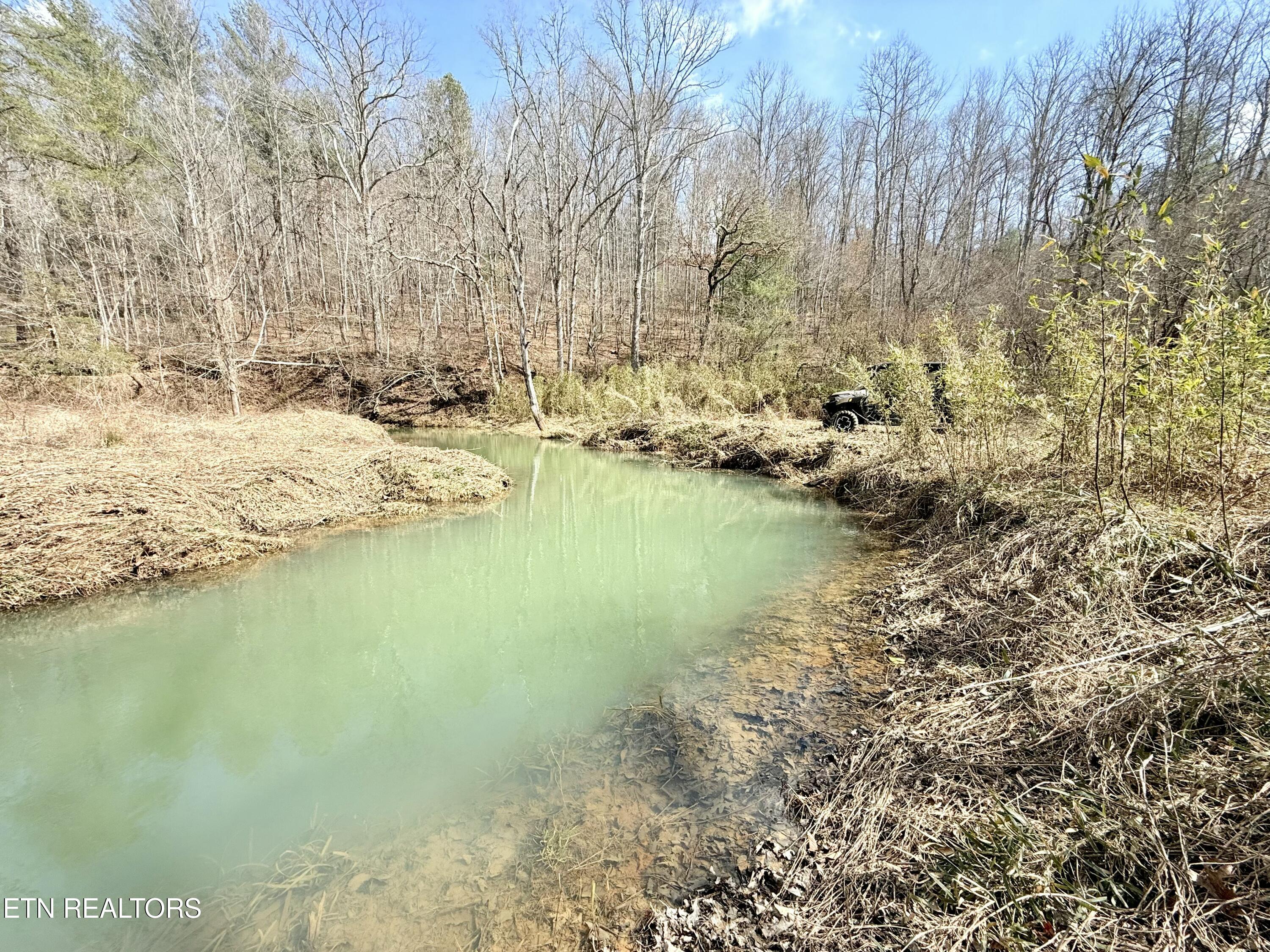 Skull Creek Road Robbins, TN 37852 - Photo 35 of 60 tempImagePgz1l0