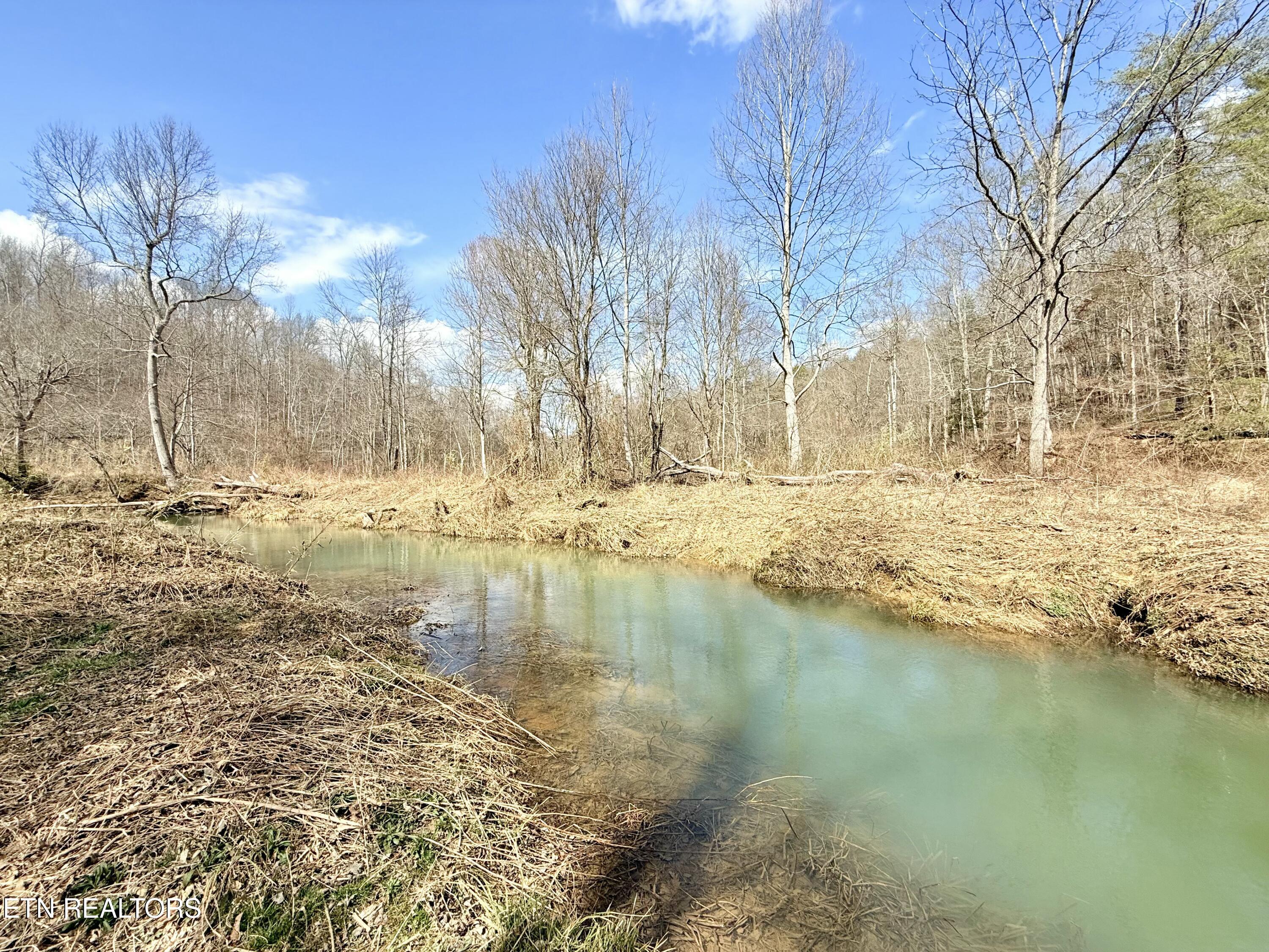 Skull Creek Road Robbins, TN 37852 - Photo 36 of 60 tempImageGn17ck