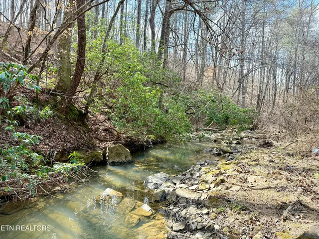$370,000 | Skull Creek Road, Robbins, TN 37852