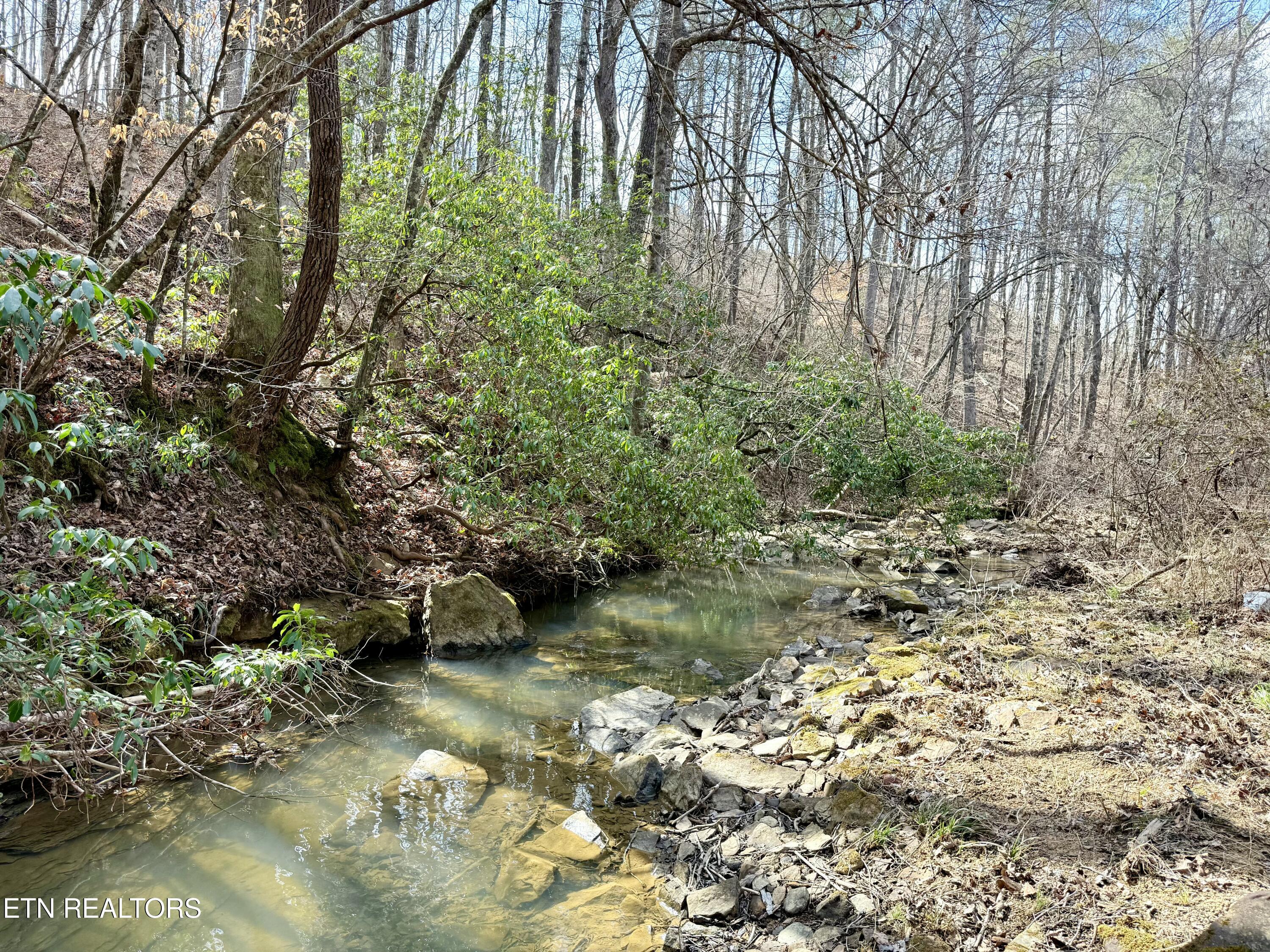 Skull Creek Road Robbins, TN 37852 - Photo 37 of 60 tempImage9u1EKW