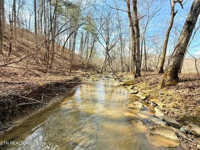 $370,000 | Skull Creek Road, Robbins, TN 37852