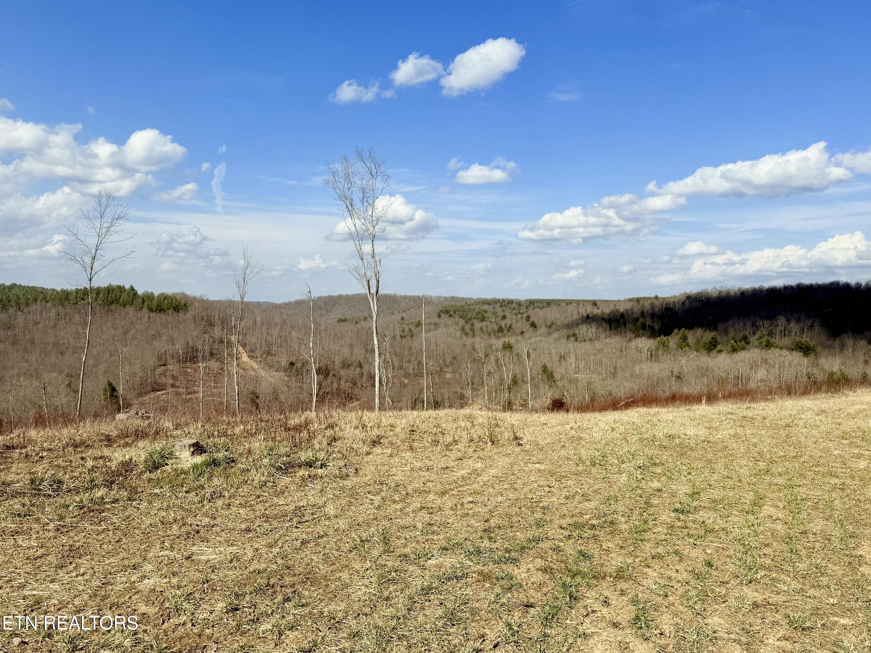 Skull Creek Road Robbins, TN 37852 - Photo 39 of 60 tempImageH96keW