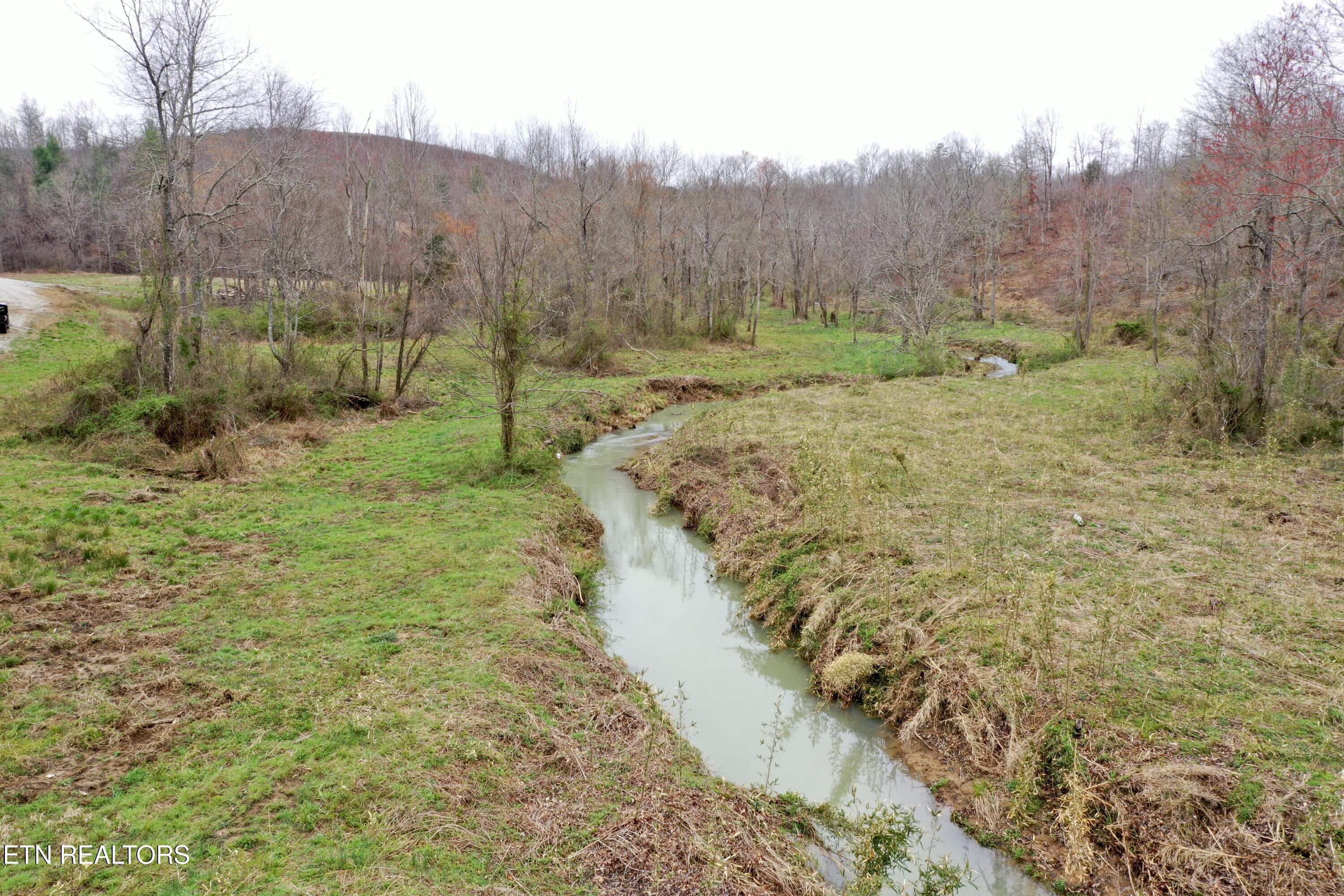 Skull Creek Road Robbins, TN 37852 - Photo 4 of 60 DJI_0420