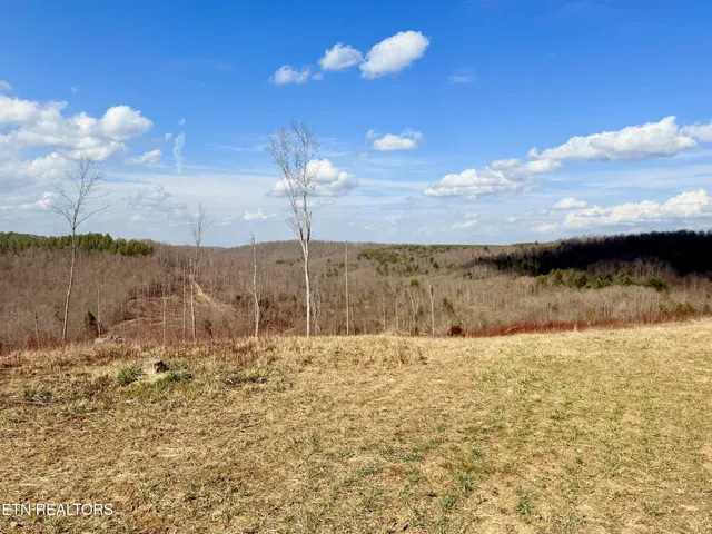 $370,000 | Skull Creek Road, Robbins, TN 37852