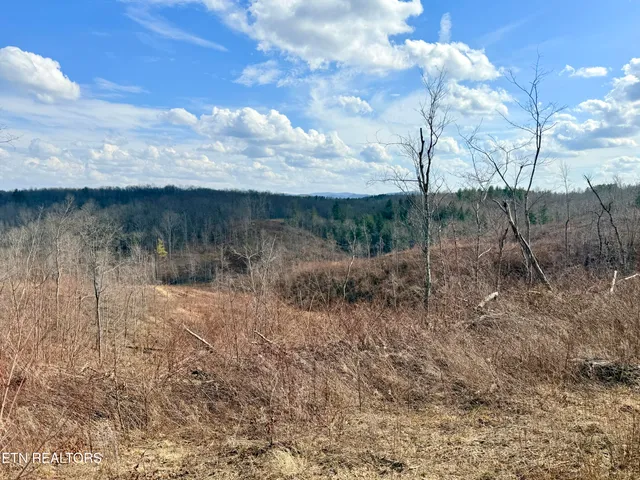 $370,000 | Skull Creek Road, Robbins, TN 37852