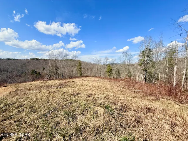 $370,000 | Skull Creek Road, Robbins, TN 37852