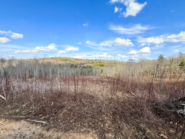 $370,000 | Skull Creek Road, Robbins, TN 37852