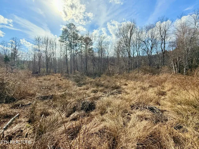 $370,000 | Skull Creek Road, Robbins, TN 37852