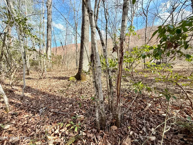 $370,000 | Skull Creek Road, Robbins, TN 37852