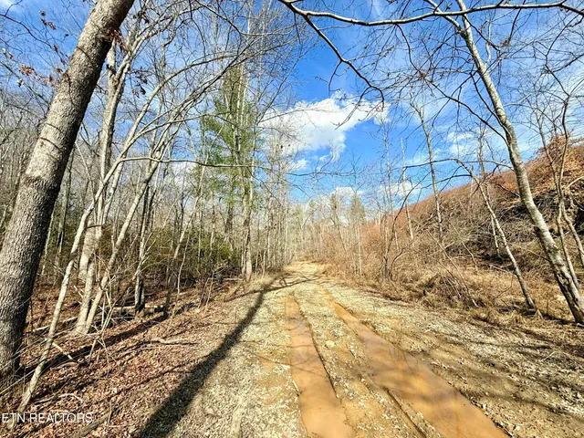 $370,000 | Skull Creek Road, Robbins, TN 37852