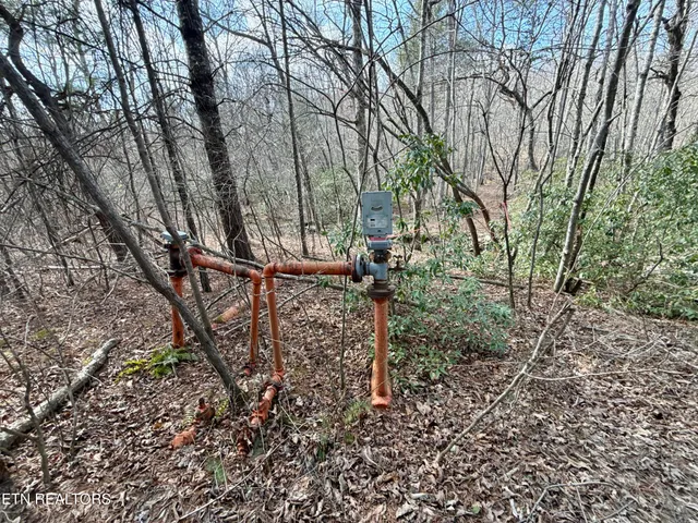 $370,000 | Skull Creek Road, Robbins, TN 37852