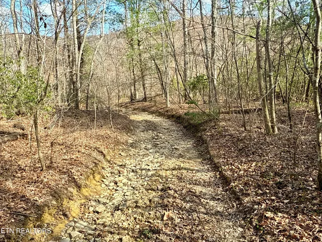 $370,000 | Skull Creek Road, Robbins, TN 37852