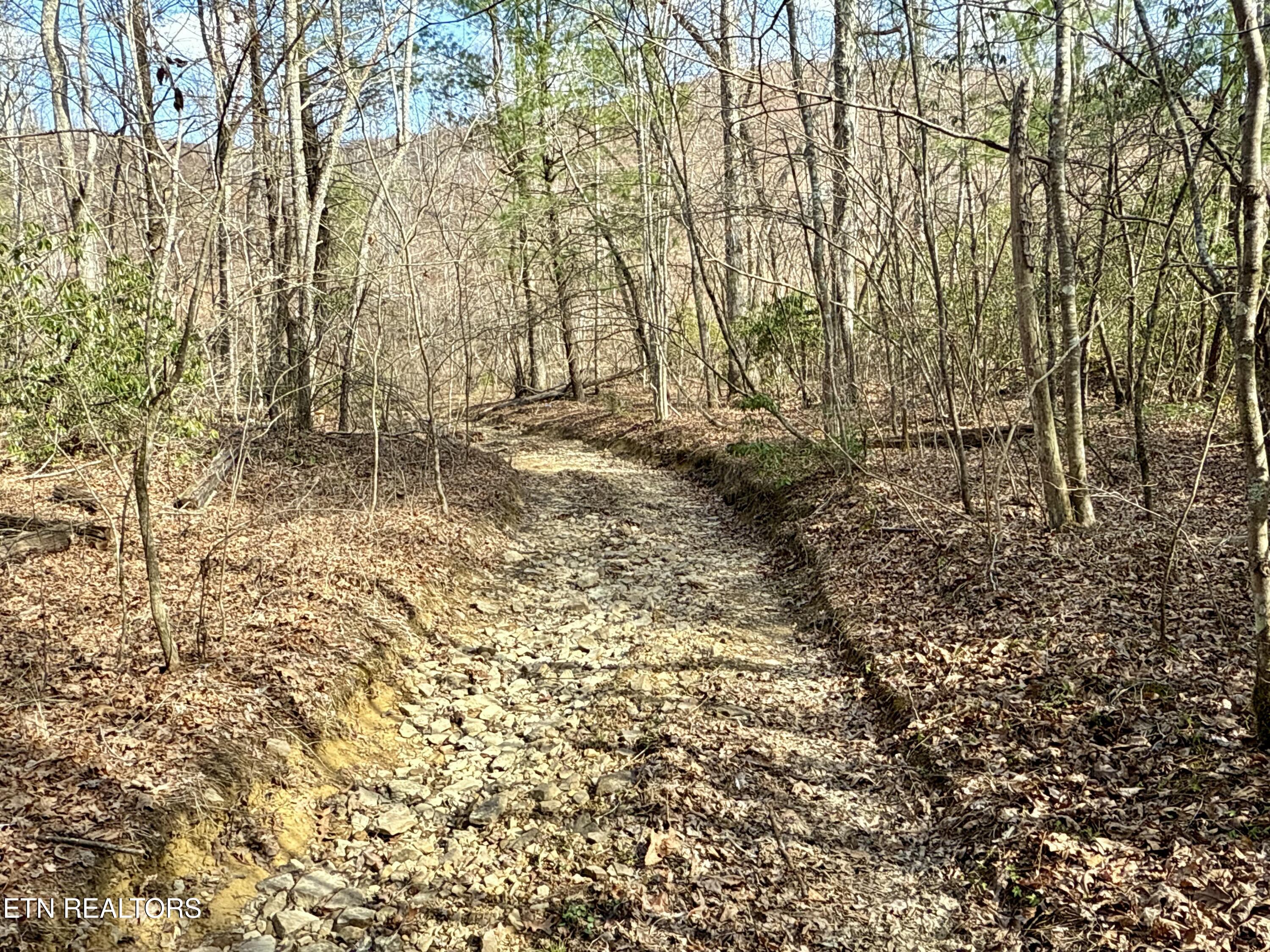 Skull Creek Road Robbins, TN 37852 - Photo 51 of 60 tempImageAEL9nb
