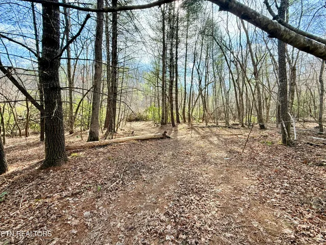 $370,000 | Skull Creek Road, Robbins, TN 37852